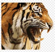 angry tiger face png clipart