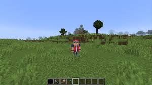 You need to type in the command: Best Minecraft Skins To Download In 2021 Vg247
