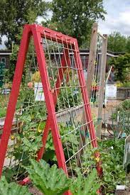 Easy Diy Garden Trellis Ideas Plant