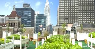 Urban Rooftop Gardens Across Nyc