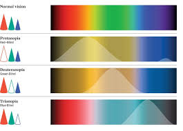 the best charts for color blind viewers