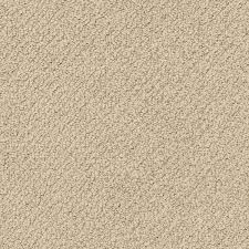 solution d nylon berber carpet