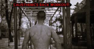 a calisthenics back workout the best