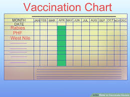 Horse Vaccine Chart Www Bedowntowndaytona Com