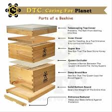 wood dtc langstroth beehive box for