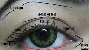 beauty parlour course eye parts name