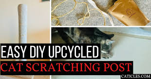 upcycled diy cat scratching post with