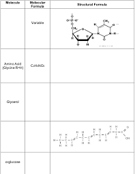 answered molecule amino acid glycine