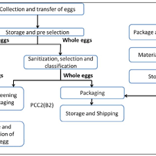 Flow Chart Of Egg Production System Download Scientific