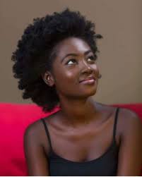 And severe dryness can cause breakage due to lack of elasticity. 780 Natural Hair Ideas In 2021 Natural Hair Styles Curly Hair Styles Hair