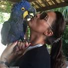 pictures of 2 parrots kissing girlfriend in front of parents