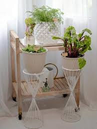 Tips For Growing Vegetables And Herbs