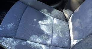 how to get mold out of car seats and