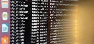 how to extract bitcoin wallet addresses