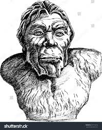 Neanderthal Man Homo Sapiens Neanderthalensis Bigfoot Stock Vector (Royalty  Free) 391716718 | Shutterstock