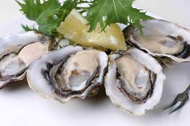 A Guide To The Different Types Of Oysters