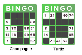 While there are many versions of the game, many players prefer this option over more traditional bingo games. Guide To Bingo Game Types Available 15 Variations