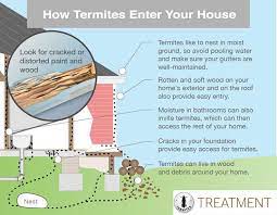subterranean termites types