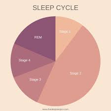 How Much Sleep Do You Need Stages Of Sleep Sleep
