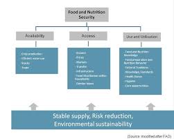 dimensions of food security