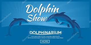 dolphinarium dolphin show banner