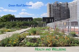 Green Roofs And Urban Green Space