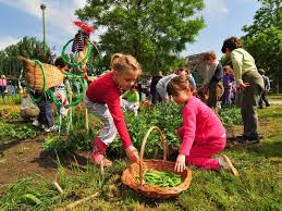 Rezultat slika za ekologija цирилицом