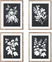 Garden Monochrome Botanical Prints