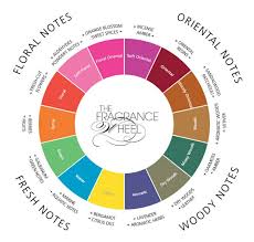 Top Perfume Classification Dilution Classes