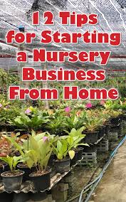 12 tips for starting a nursery business
