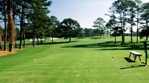 Services for augusta & grovetown, ga. Morning Drive Eisenhower Tree Removed After Ice Storm Golf Channel
