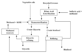 Process Flowchart Transesterification Of Vegetable Oils
