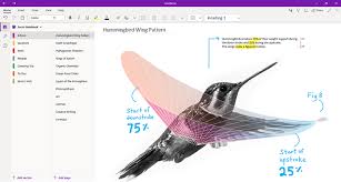 Features Missing On Onenote On Surface