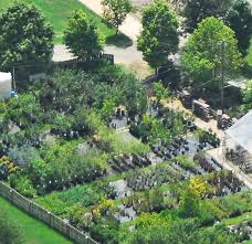 Mike S Growers Aerial View