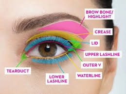 eye should you apply your eye makeup