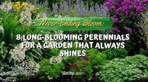long blooming perennials for a garden