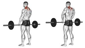 back workouts the 6 best back