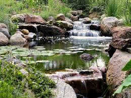 Backyard Pond Ideas That Can Make Any