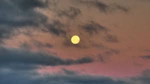 満月いつ】2021年12月19日は今年最後の満月「コールドムーン」！ベストな時間と方角を解説