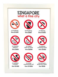 common fines in singapore