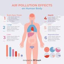 air pollution effects on human body