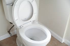 Round Vs Elongated Toilet Seats
