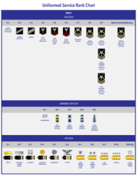 military ranks and insignia charts
