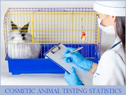 cosmetic testing statistics