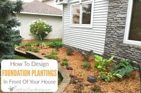 foundation planting basics design tips