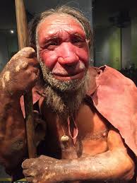 Spannende Geschichte... - Picture of Neanderthal Museum, Mettmann -  Tripadvisor