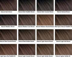 28 Albums Of Medium Ash Brown Hair Color Chart Explore