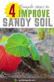 How To Improve Sandy Soil Here Are 4