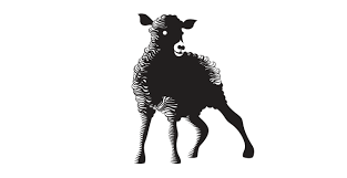 Resultado de imagen de black sheep