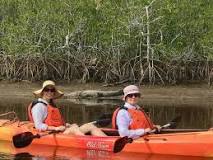 Should I worry about alligators while kayaking?